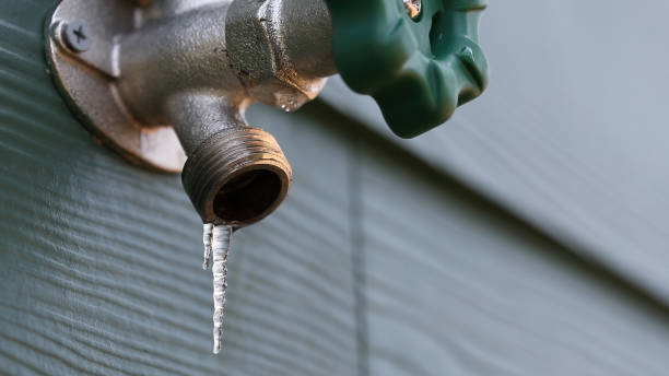  Gman, IL Plumbing Pros